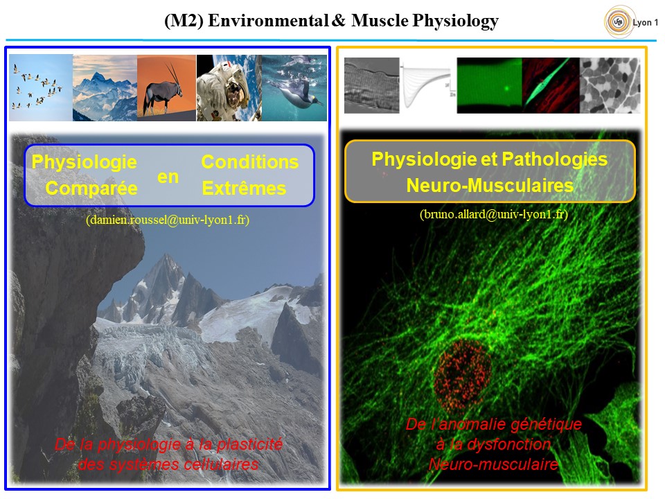 Master 2 Environmental and Muscle Physiology