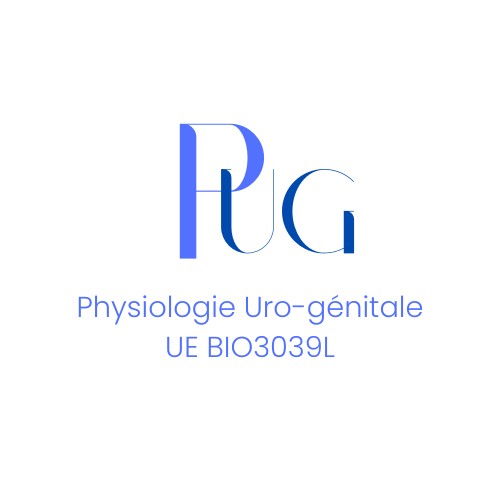 UE BIO3039L Physiologie Uro-génitale