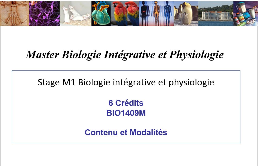 Stage M1 Biologie Intégrative Et Physiologie