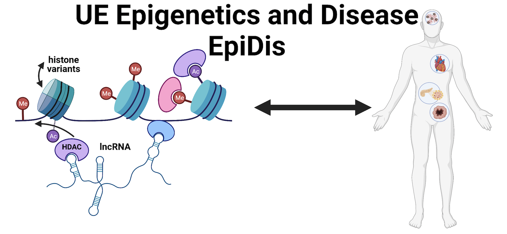 Epigenetics and Diseases
