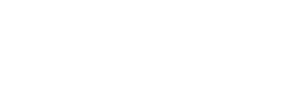 Logo Lyon2