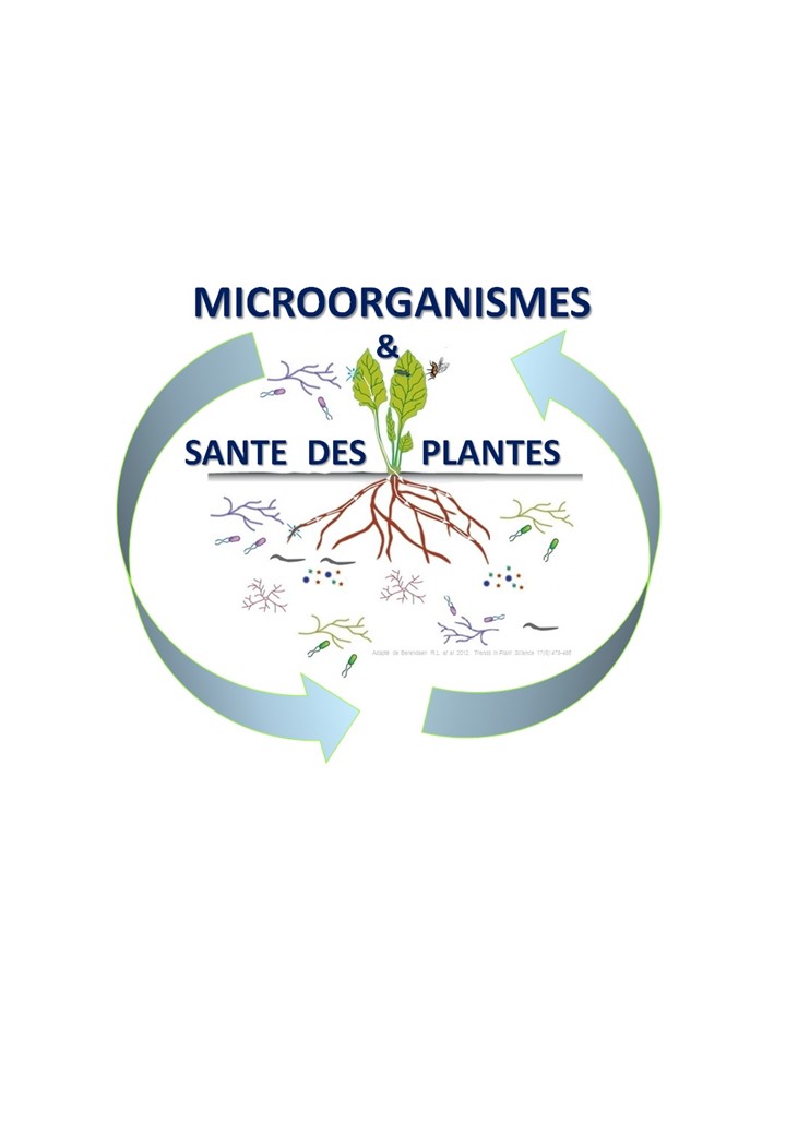 MSP - Microorganismes et Santé des Plantes
