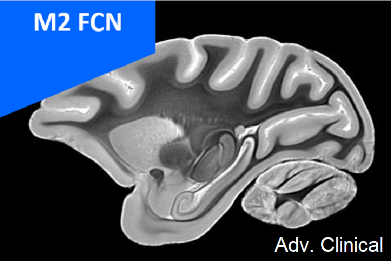 M2 FCN - Advanced Clinical Neurosciences