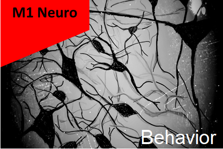 M1 Neuro - UE Behavior