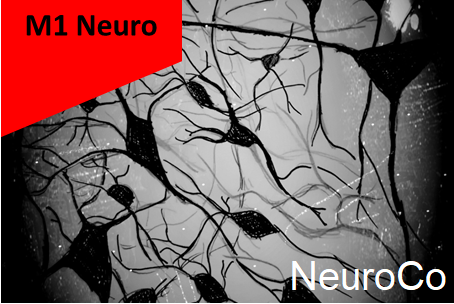 M1 Neuro - UE NeuroCo