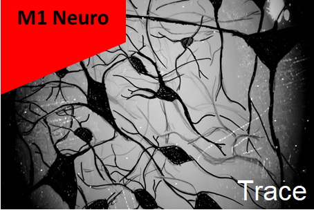 M1 Neuro - UE Trace