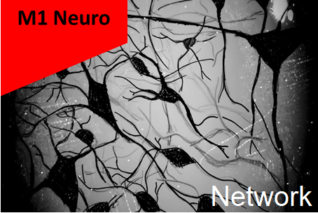 M1 Neuro - UE Network