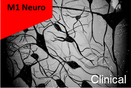 M1 Neuro - UE Clinical