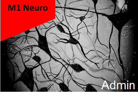 M1 Neuro - Admin