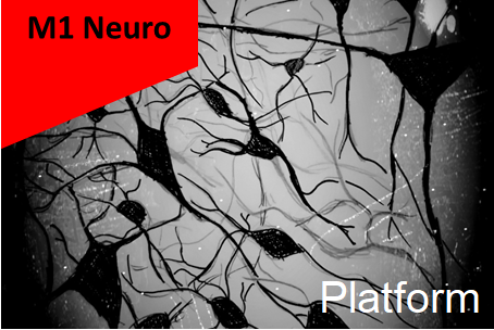 M1 Neuro - UE Platform