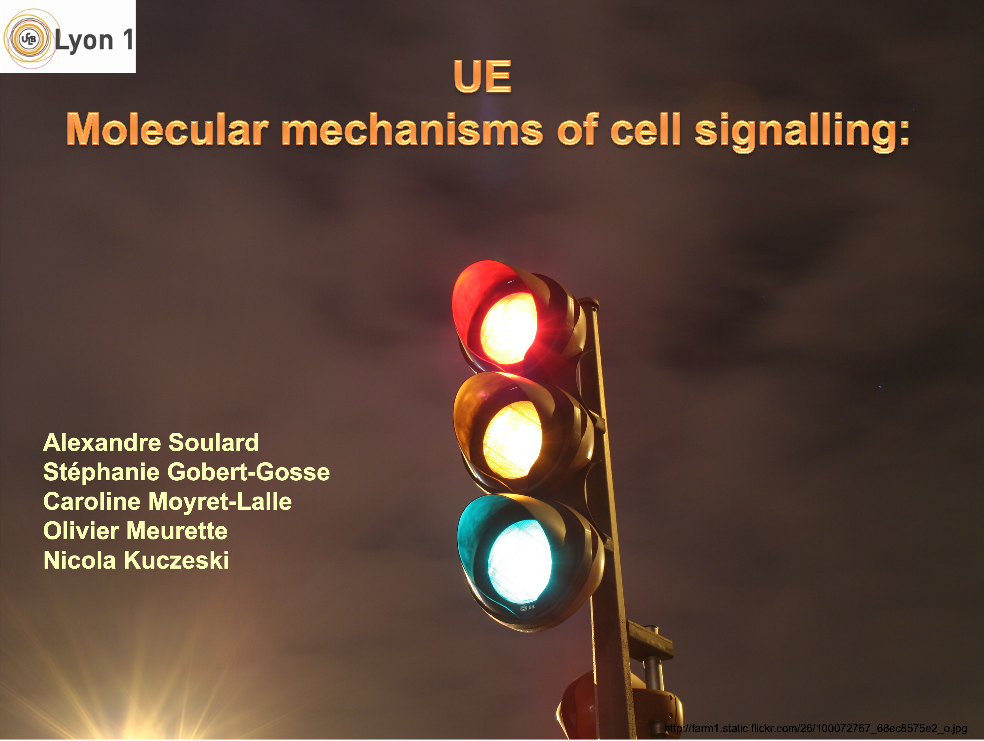Molecular Mechanisms of cell Signalling